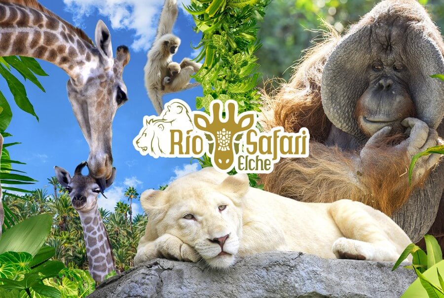 Rio Safari Park Elche Alicante