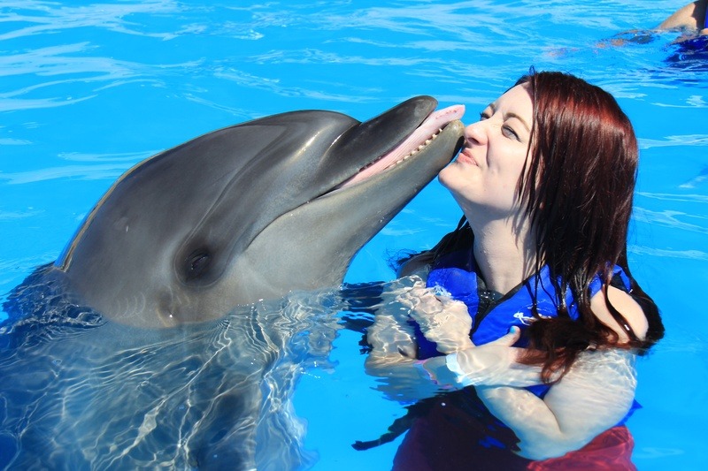 Swim with Dolphins, Mundomar, Benidorm