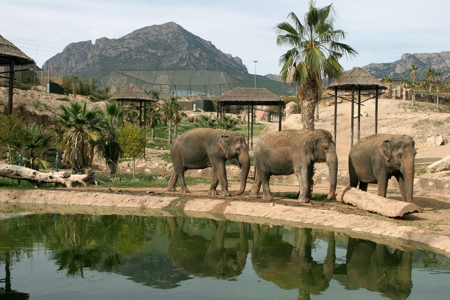 Terra Natura Zoo Theme Park, Benidorm